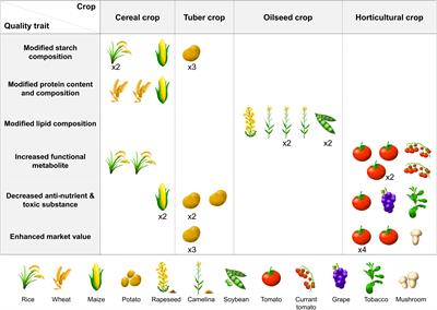 Improving Nutritional and Functional Quality by Genome Editing of Crops: Status and Perspectives